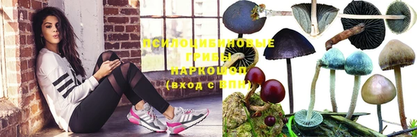 a pvp Вяземский