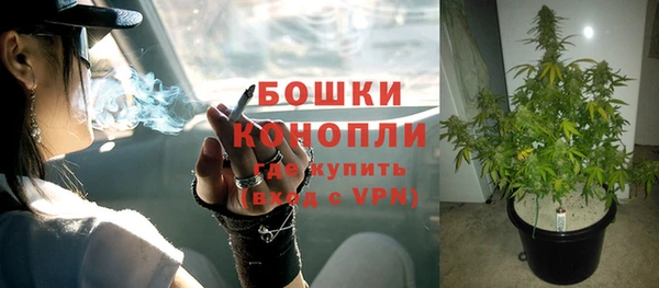 PSILOCYBIN Вязьма
