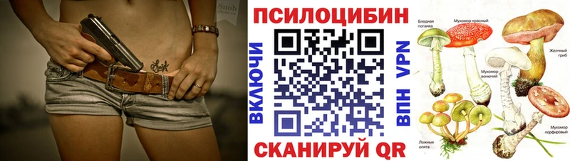 Псилоцибиновые грибы Cubensis  shop Telegram  Жердевка  где найти наркотики 